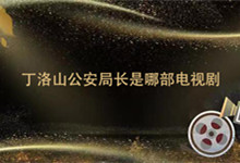 丁洛山公安局長(zhǎng)是哪部電視劇