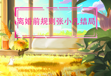 离婚前规则张小凡结局 离婚前规则张小凡结局如何
