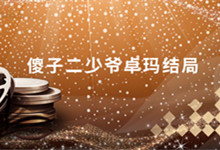 傻子二少爷卓玛结局 尘埃落定最后的结局