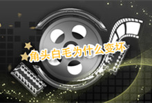 角头白毛为什么变坏 角头里的白毛