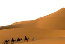 压死骆驼的最后一根稻草的意思 压死骆驼的最后一根稻草的意思是什么意思