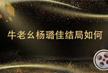 牛老幺杨璐佳结局如何