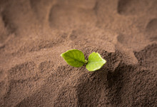 耐火泥的使用方法是什么 耐火泥的正确使用方法