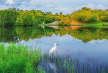 鄱阳湖主要观赏的鸟类有哪些 鄱阳湖有多少种鸟 