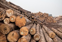 碳化木和防腐木的区别 怎么区分碳化木和防腐木
