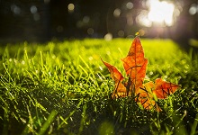 立秋下雨好吗 立秋季节划分