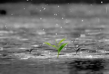 人工降雨的原理是什么 人工降雨的条件