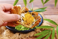 螃蟹怎么做好吃又简单方便 吃螃蟹的季节
