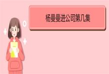 楊曼曼進公司第幾集  《婚姻的兩種猜想》演職人員介紹