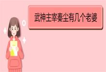 武神主宰秦尘有几个老婆 《武神主宰》剧情简介