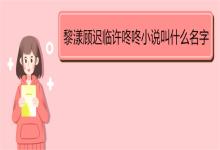 免费黎漾顾迟临许咚咚小说叫什么名字 《莫待情深迟》简介