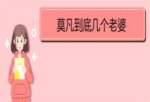 莫凡到底几个老婆 《全职法师》内容简介