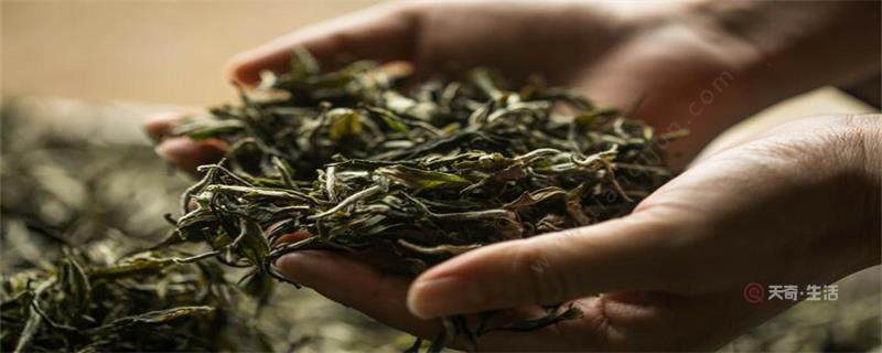 茉莉花茶6种人不要喝
