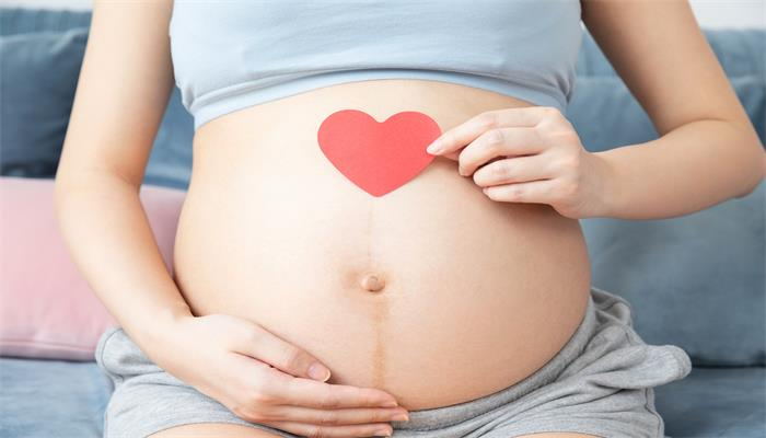 怀孕1一10个月发育图