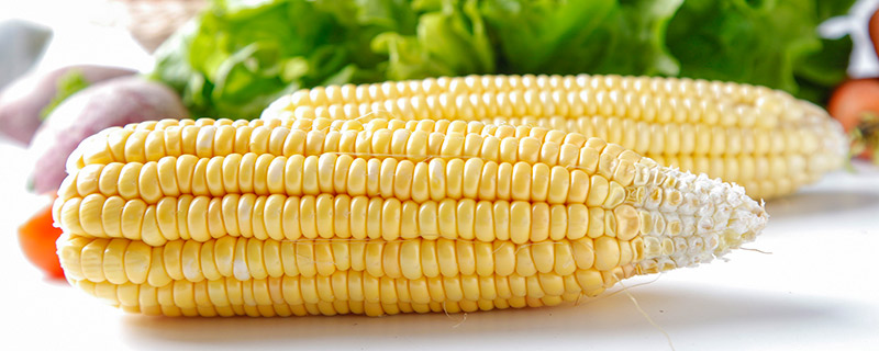 玉米的量词是什么
