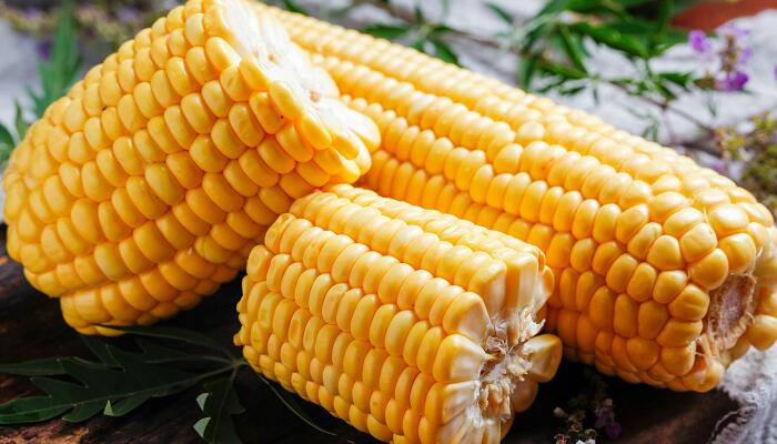 玉米的量词是什么