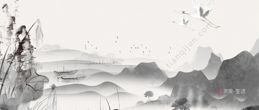 赠刘景文中擎雨盖是什么意思