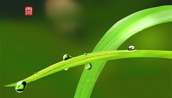 《春夜喜雨》古诗的意思