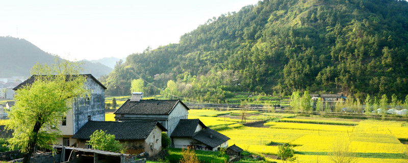 村居古詩(shī)意思