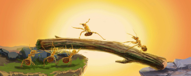 蚂蚁和蝉的故事告诉我们什么道理