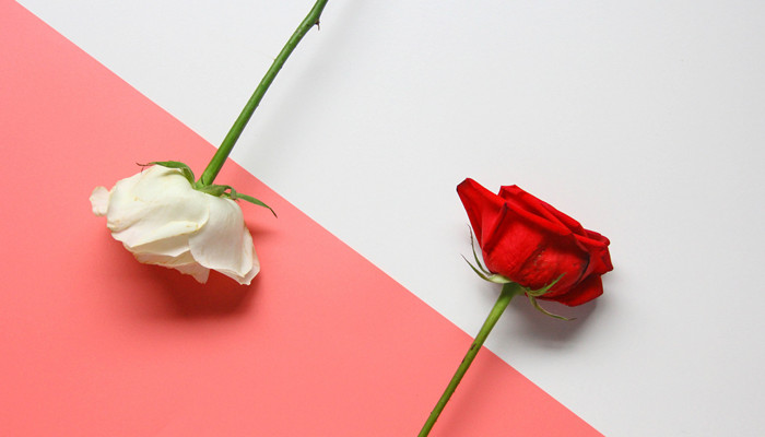 红玫瑰与白玫瑰隐喻
