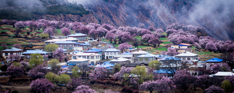 人间四月芳菲尽山寺桃花始盛开哲学原理