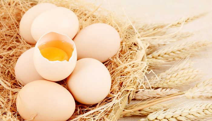 鸡蛋壳可以补钙吗怎么吃