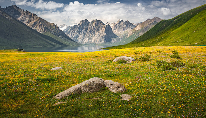 青藏高原的自然景观主要表现为