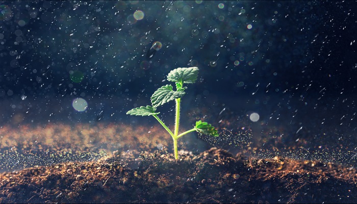 暴雨在哪种云层中形成