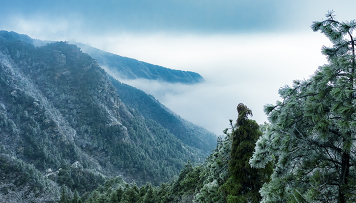 山清山是江西什么地方