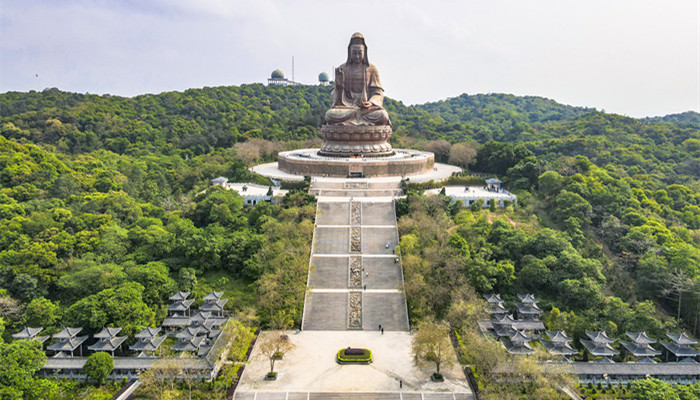 佛山市区是哪个区