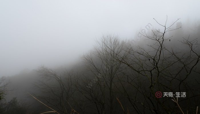 四川峨眉山在哪个市哪个县