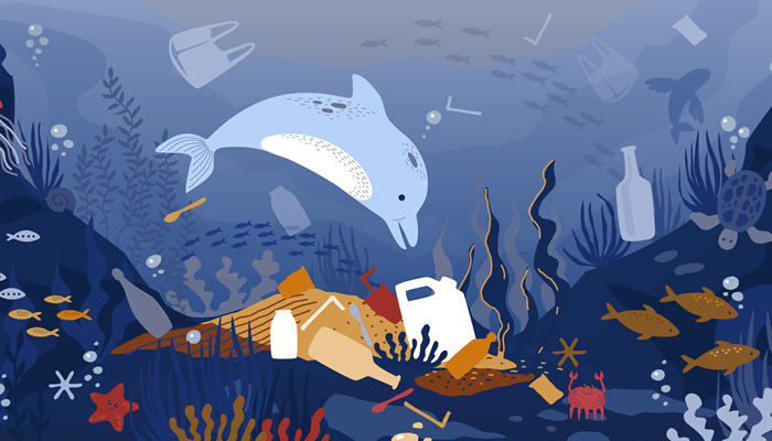 海洋垃圾对海洋生物的危害