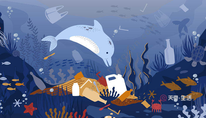 海洋垃圾对海洋生物的危害 海洋垃圾对海洋生物的危害有多大