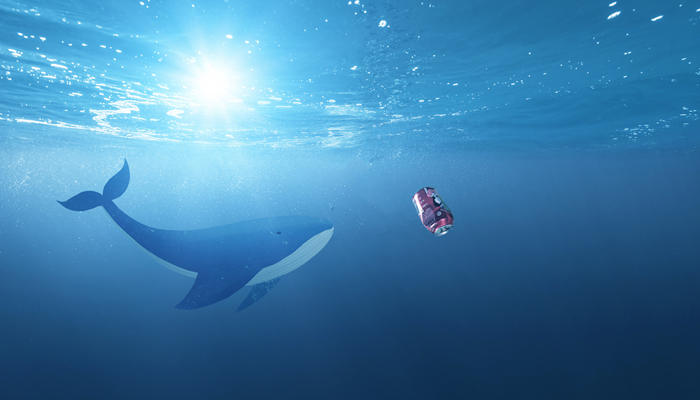 鲸鱼一分钟的心跳是多少下