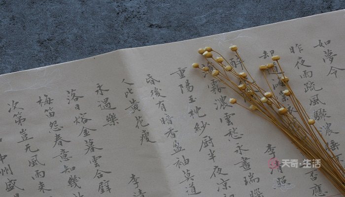 元稹惟将终夜长开眼是悼念谁