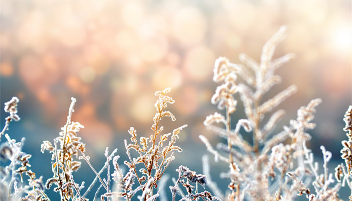 霜前冷,雪后寒的物理原因