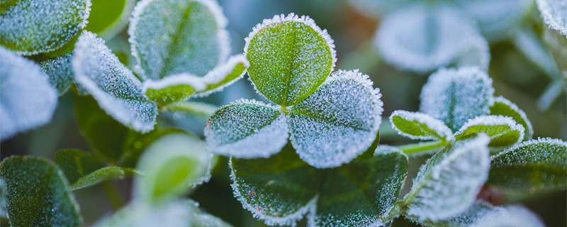 霜前冷,雪后寒的物理原因