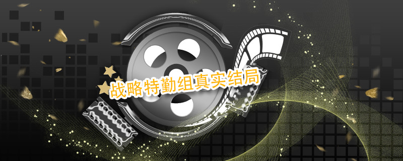 战略特勤组真实结局