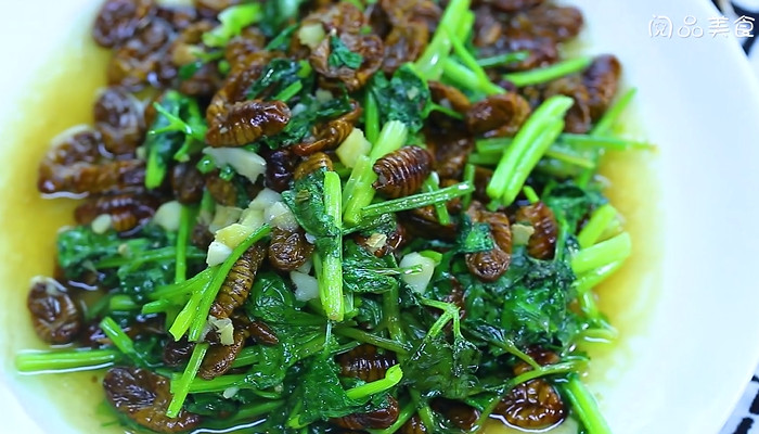 香菜炒蚕蛹怎么做 香菜炒蚕蛹的做法