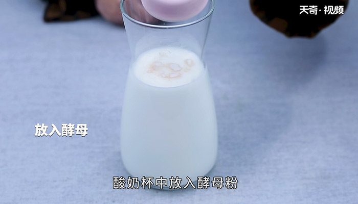 盆栽酸奶怎么做 盆栽酸奶的做法