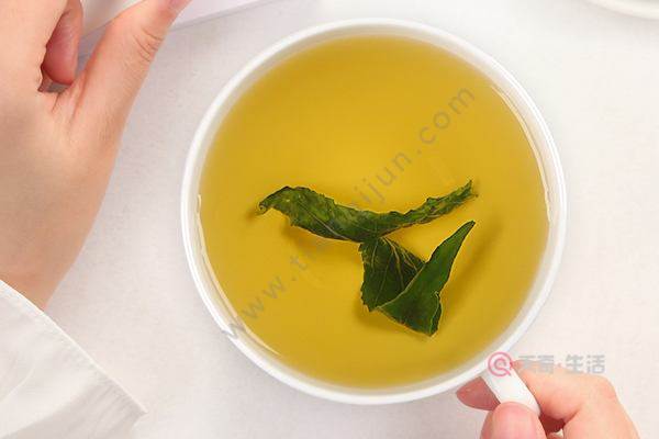 鳄嘴花茶的功效与作用 鳄嘴花茶的好处