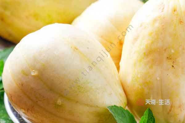 三白瓜的功效与作用 三白瓜的禁忌人群