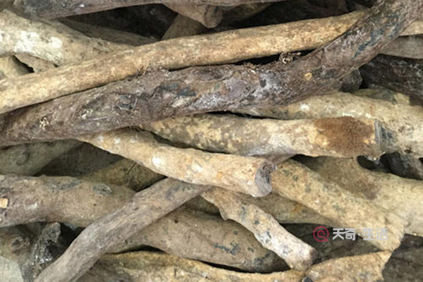 血柳的功效与作用 血柳的功效