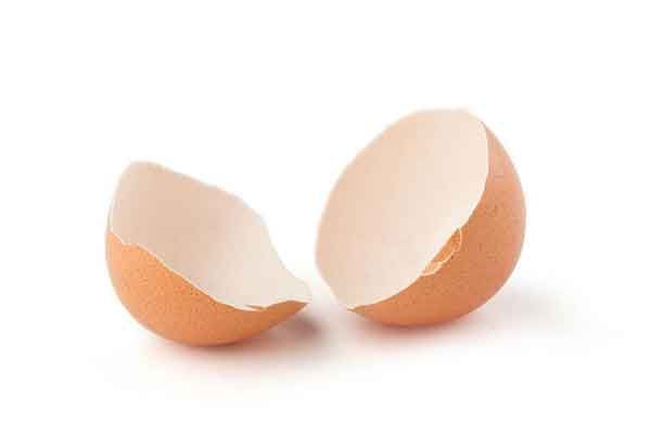 鸡蛋壳粉的功效与作用