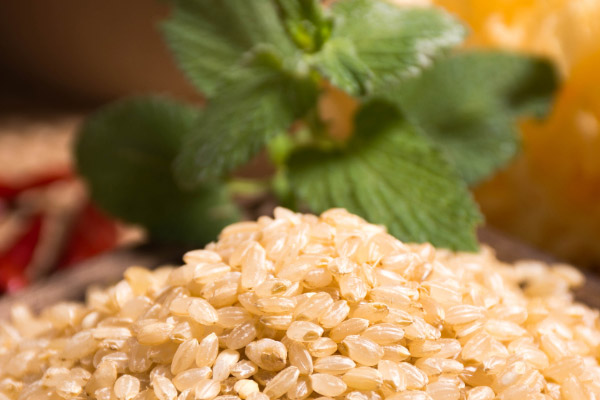 糙米有什么功效和作用