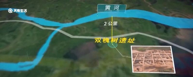 2020中国考古新发现揭晓