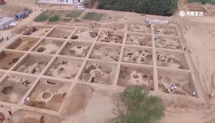 2020中国考古新发现揭晓