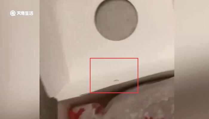 女子吃汉堡发现活虫，麦当劳回应：正常情况下不会发生