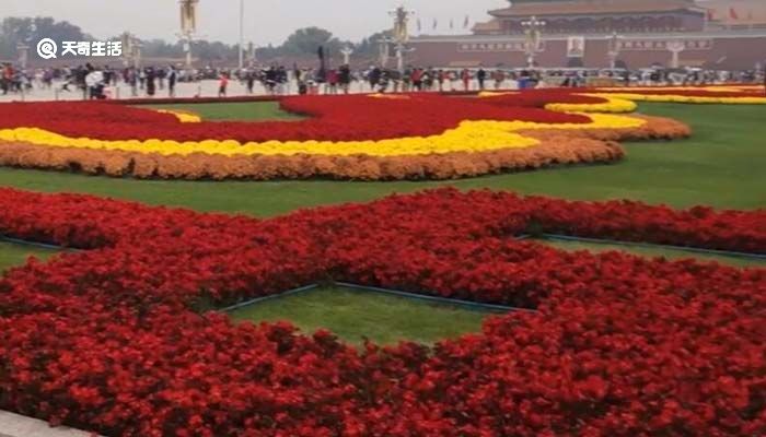 天安门广场庆祝景观保留至15日,今天上午迎6.5万名游客